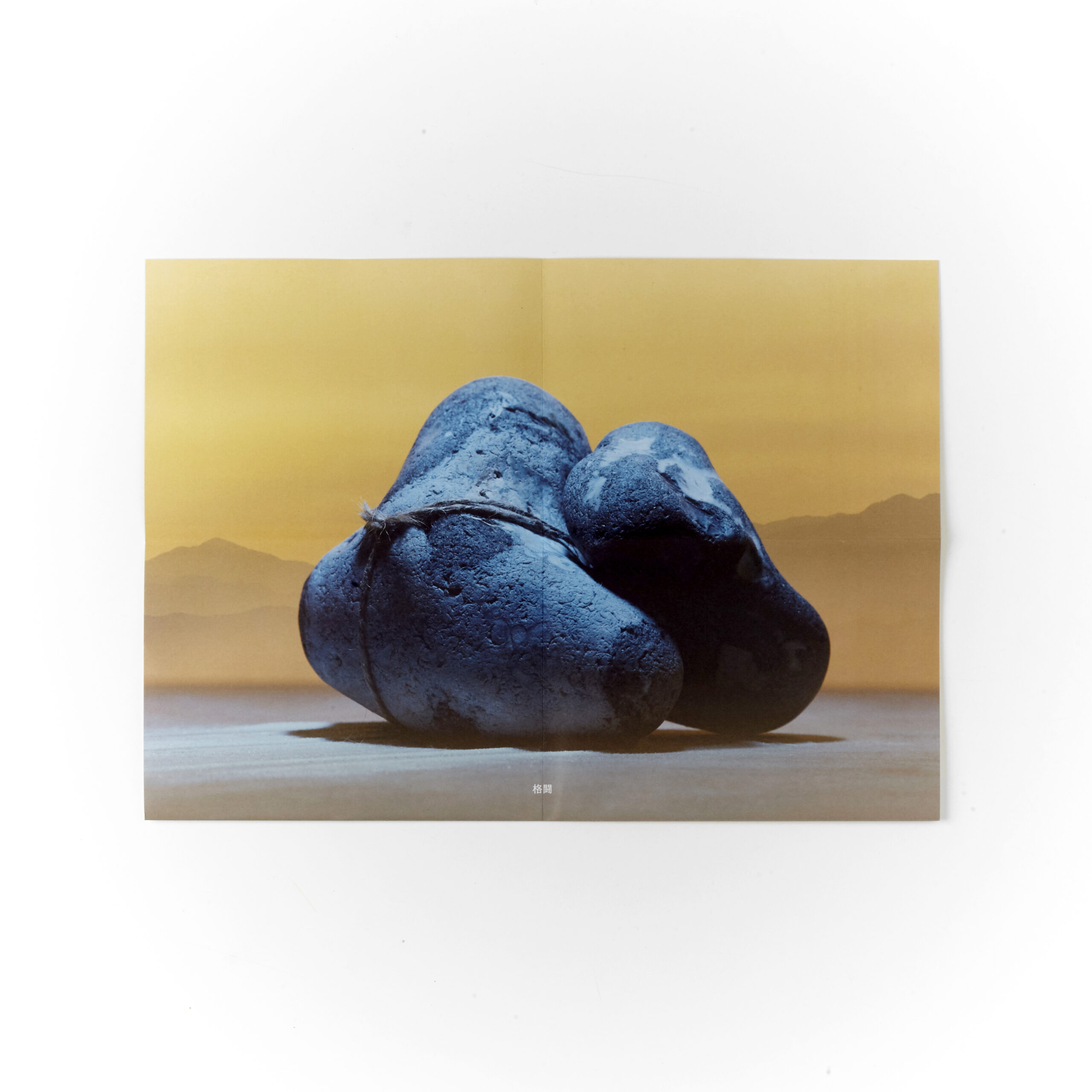 Sumo Zine